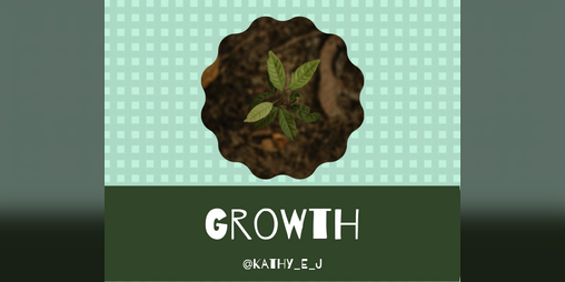 Cover image for Growth