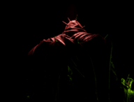 Cover image for Into the Ducts