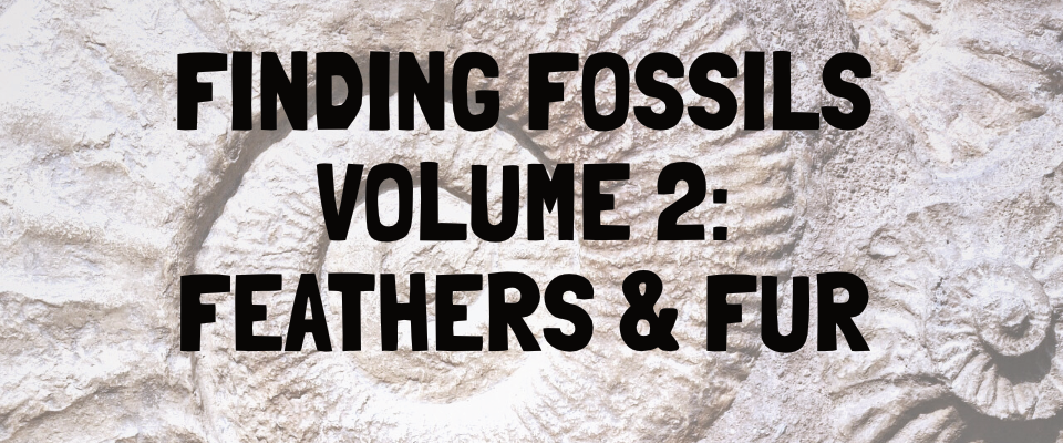 Finding Fossils Volume 2: Feathers & Fur