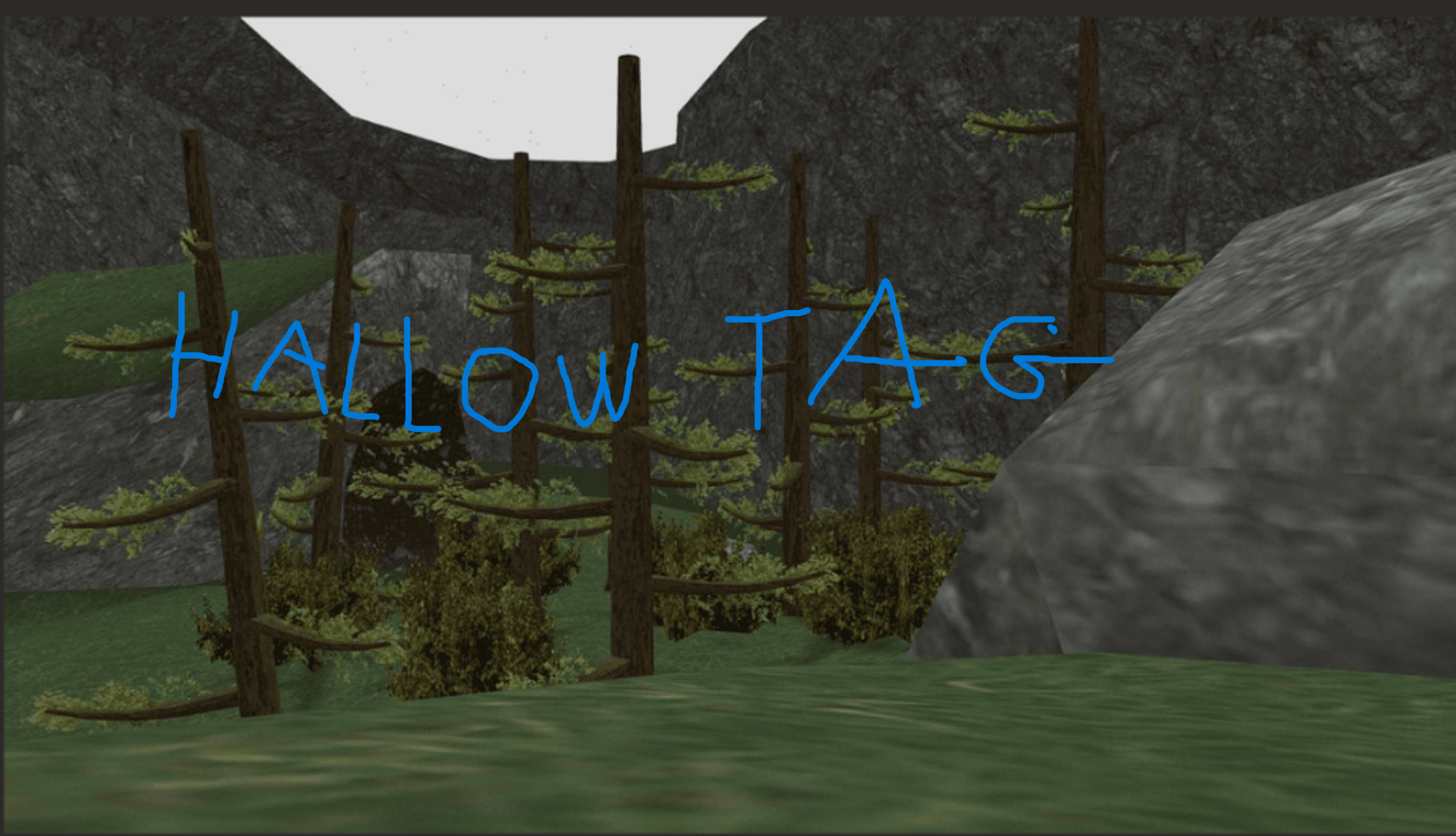 hallow tag actual