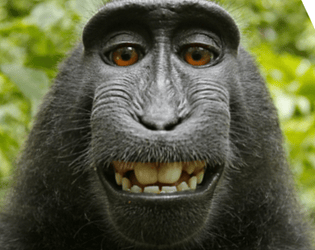 Phobic macaca (alpha)