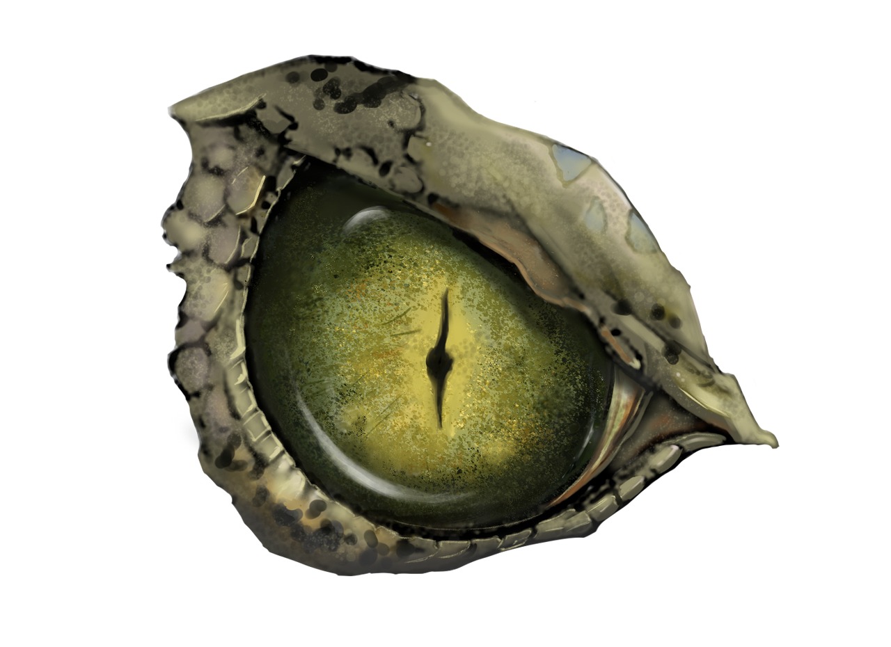 Circodile