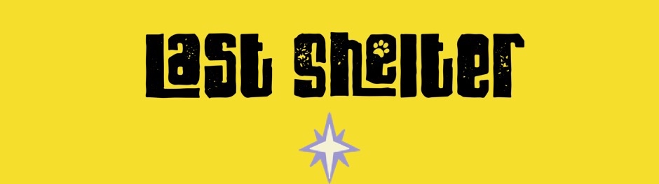 Last Shelter (Prototype)
