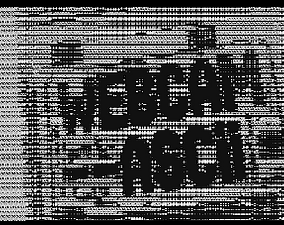 webcam---ascii