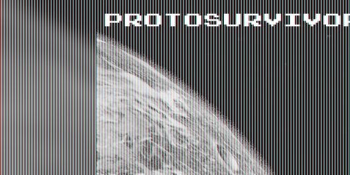 Cover image for ProtoSurvivor