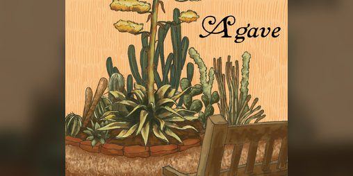 Cover image for Agave
