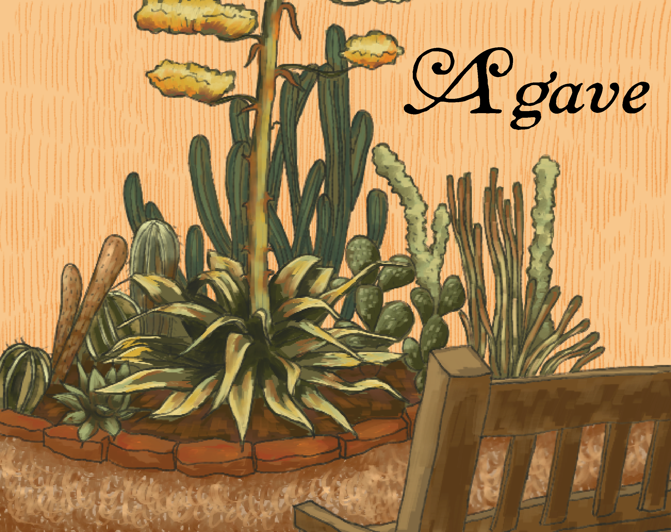 Cover image for Agave