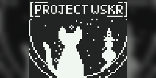 Cover image for Project WSKR