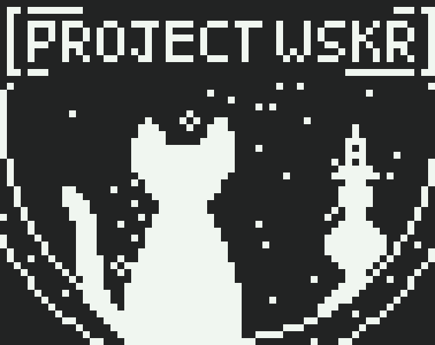 Cover image for Project WSKR