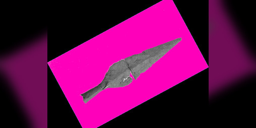 Cover image for Spearhand Faring