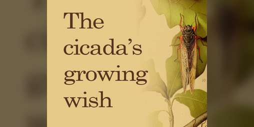 Cover image for The cicada's growing wish / El creciente deseo de la cigarra (EN + ES)