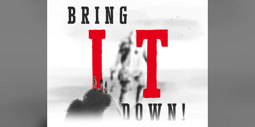 Cover image for Bring It Down!