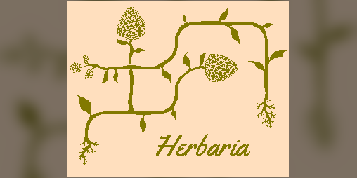 Cover image for Herbaria