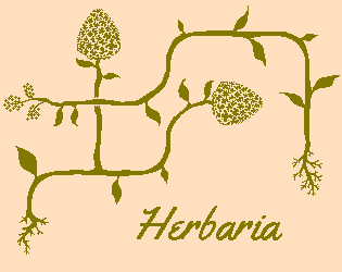 Cover image for Herbaria