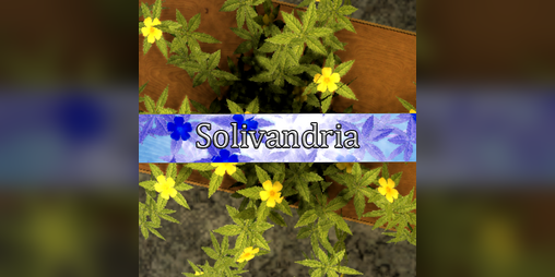Cover image for Solivandria