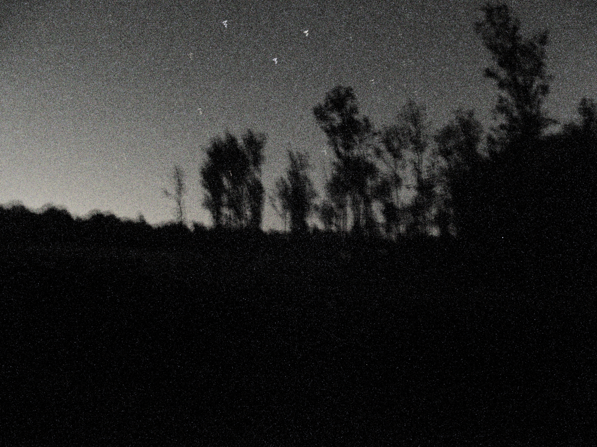 Cover image for we reshaped the immutable sky