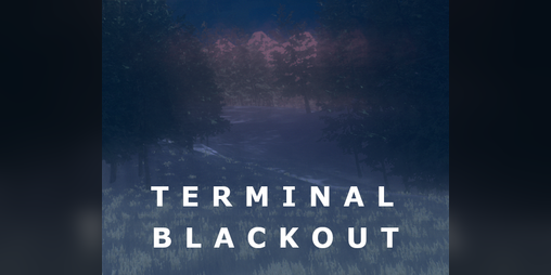 Cover image for Terminal Blackout