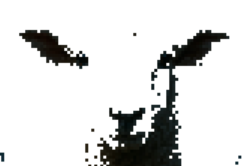 Sheep Night cover