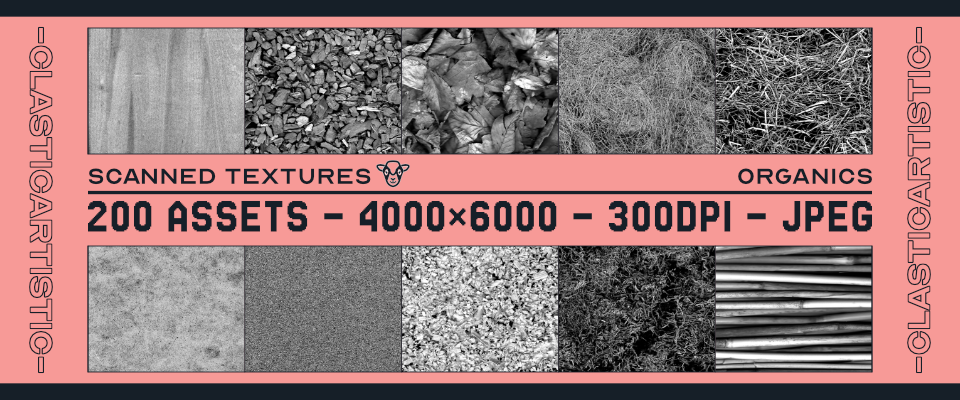 Scanned Textures – Organics
