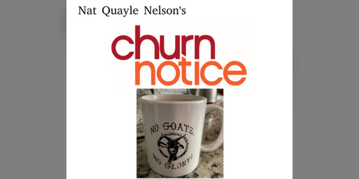 Cover image for Churn Notice