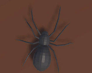 Spider's Journey
