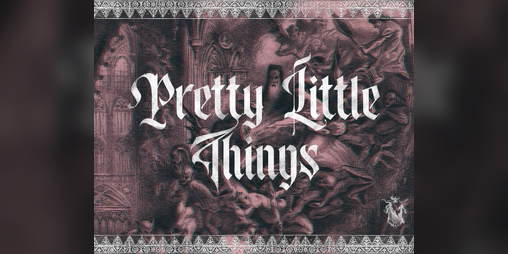 Cover image for Pretty Little Things