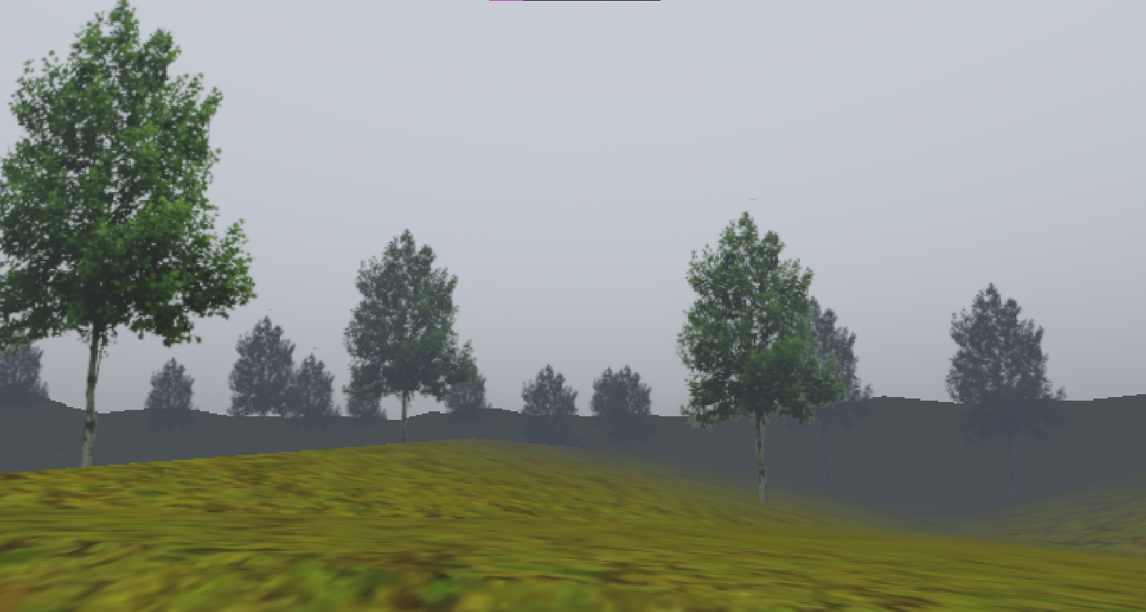 Forest Walk Screensaver