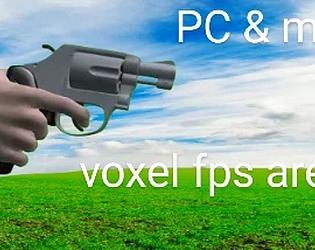 Voxel fps arena