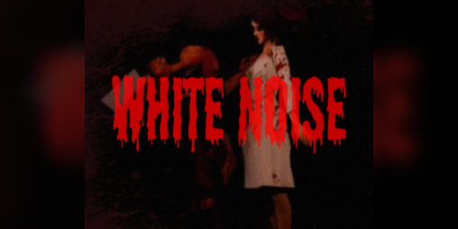 Cover image for White Noise