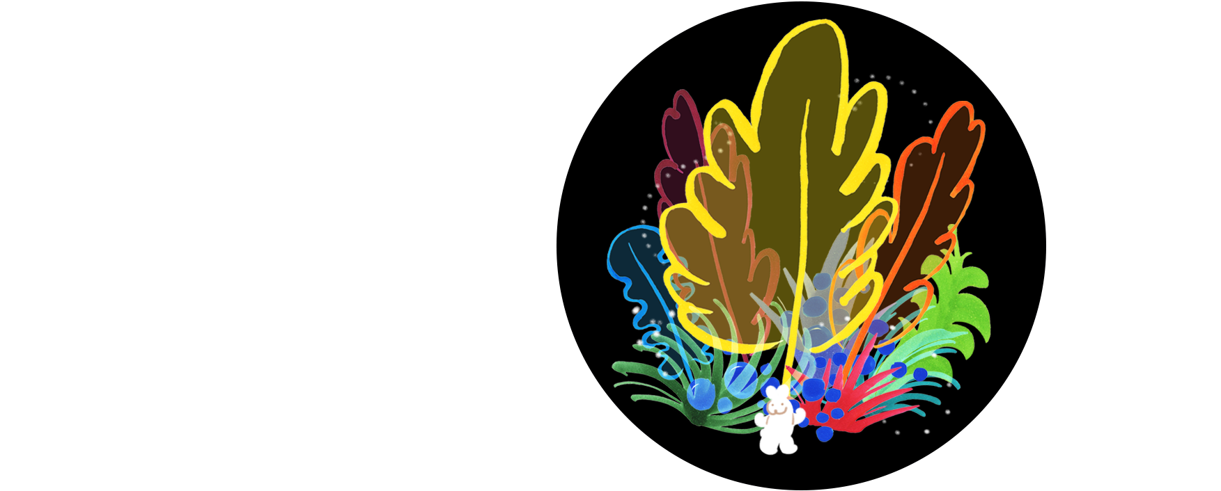 Wander in Wonder