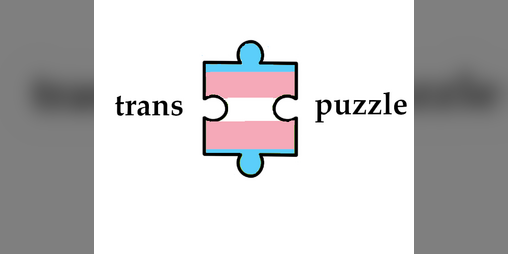 Cover image for trans puzzle