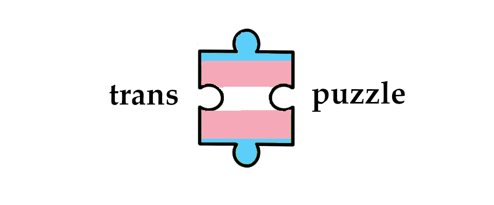 trans puzzle