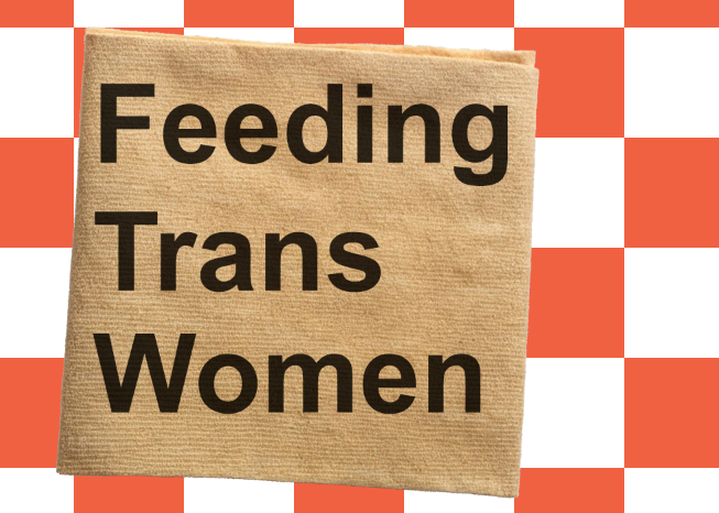 Cover image for Feeding Trans Women