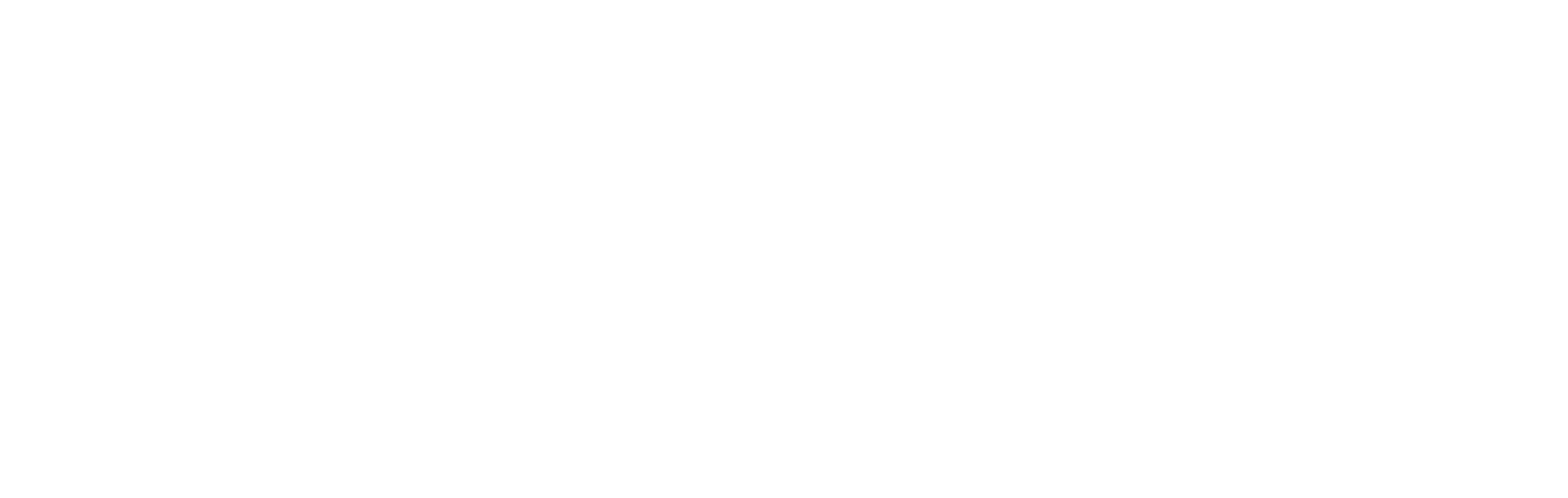 CiberFly Studios CiberFly Studios