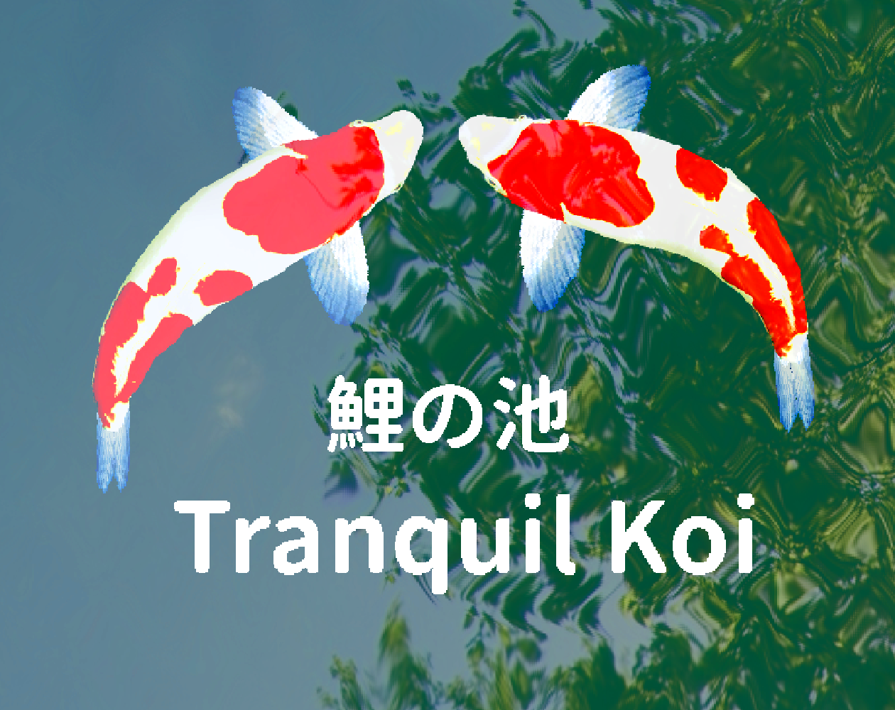 Cover image for Tranquil Koi 鯉の池(DEMO)