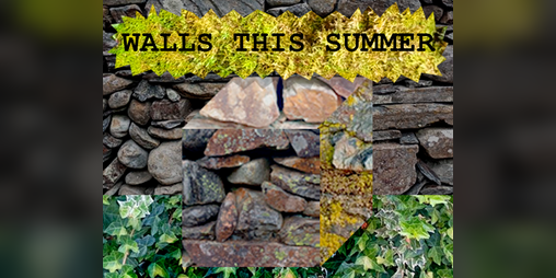 Cover image for Walls this summer