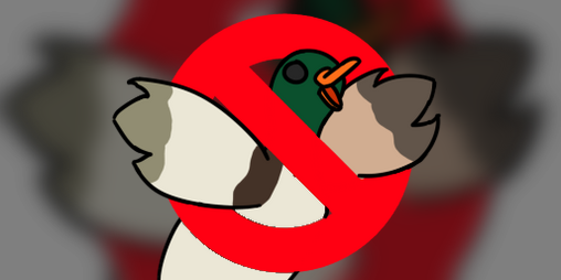 Cover image for NO DUCKS