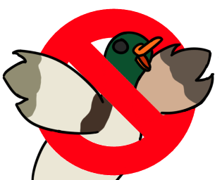 Cover image for NO DUCKS