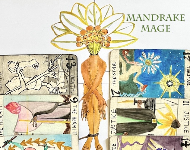 Cover image for MANDRAKE MAGE