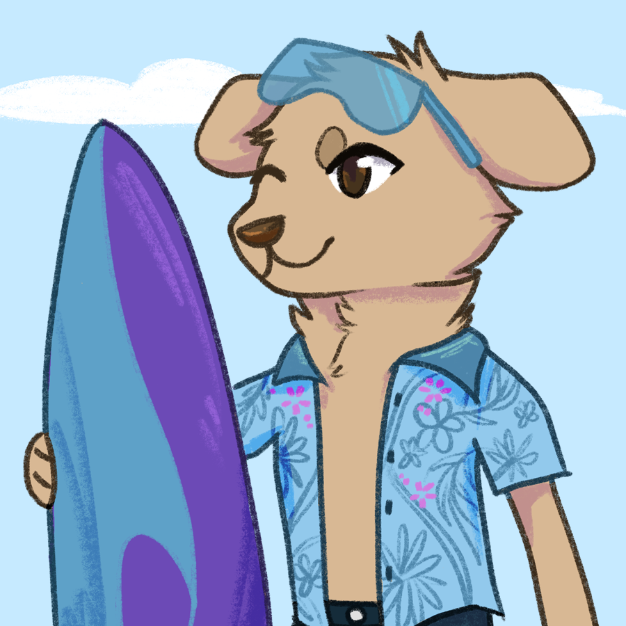 Cover image for Surfbork