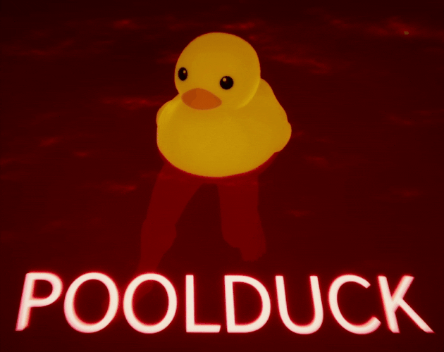 Cover image for POOLDUCK