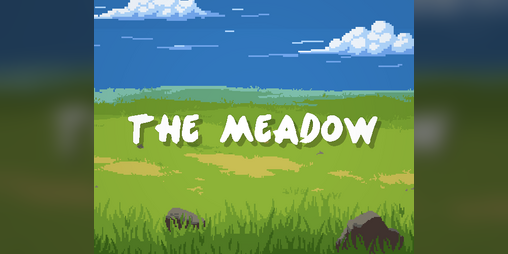 Cover image for The Meadow