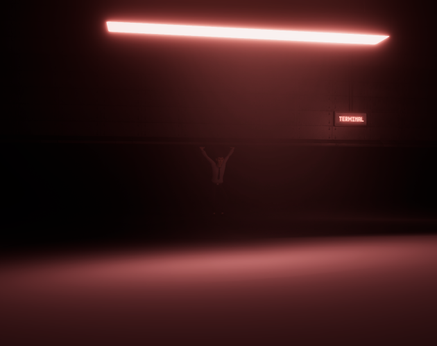 Cover image for TERMINAL