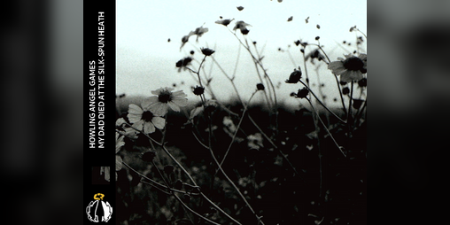Cover image for My Dad Died at the Silk-Spun Heath