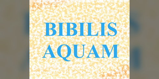 Cover image for Bibilis Aquam