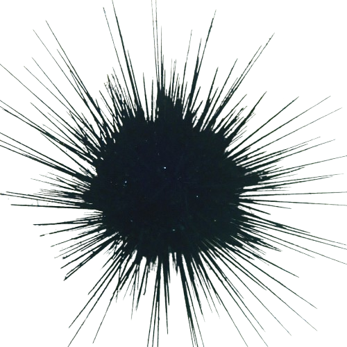 DOWNLOAD NOW! NOW! NOW! NOW!