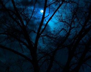 Ghost Forest