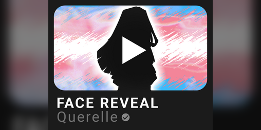 Cover image for Face Reveal