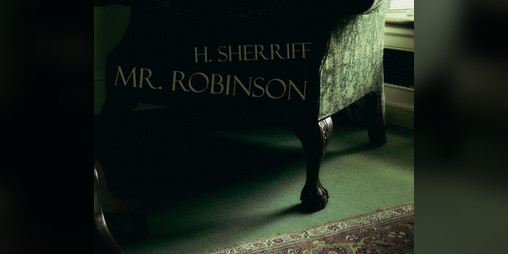 Cover image for Mr. Robinson