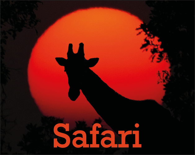 Cover image for Safari